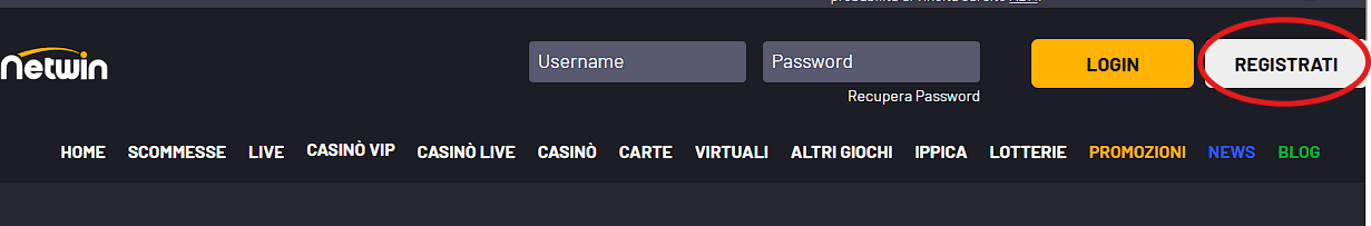 pagina di apertura di Netwin Casinò
