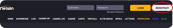 pagina di apertura di Netwin Casinò