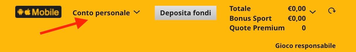 Betfair verifica account