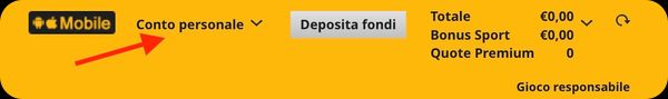 Betfair verifica account