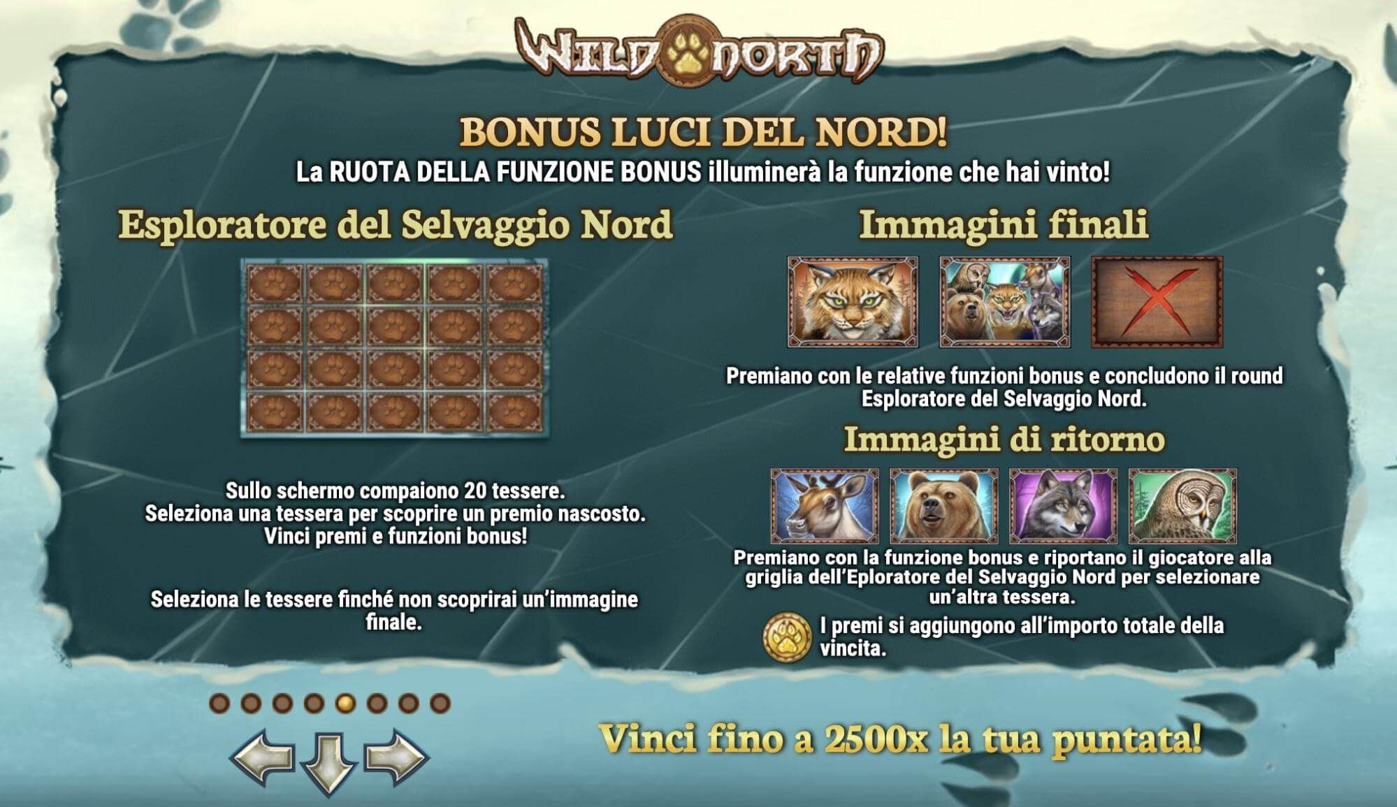 Wild North bonus luci del Nord