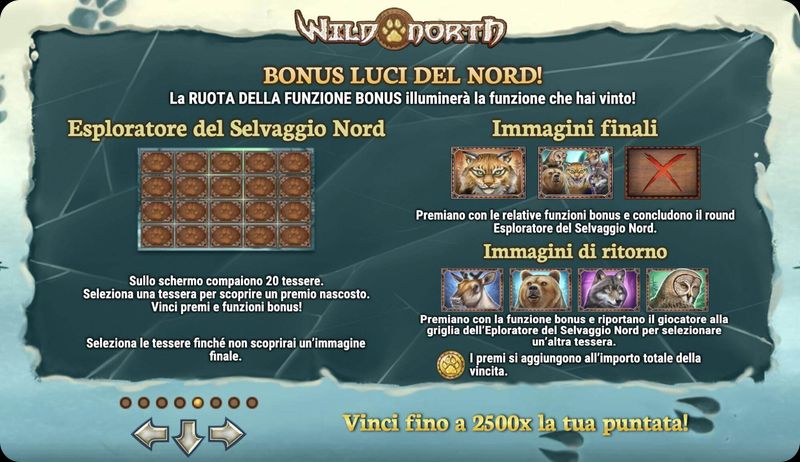 Wild North bonus luci del Nord