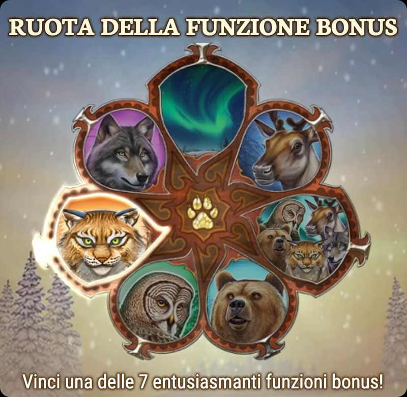 Wild North ruota della fortuna bonus
