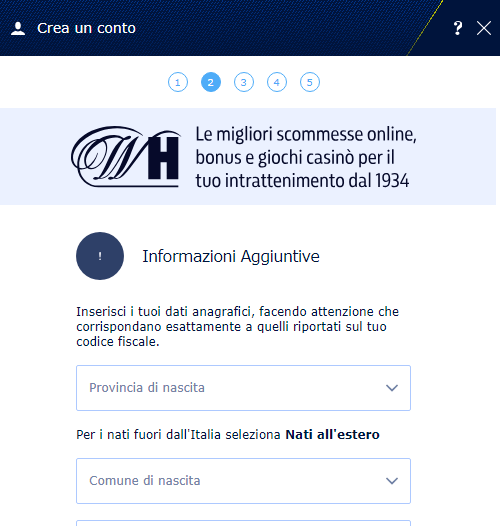 Inserisci altre informazioni su di te