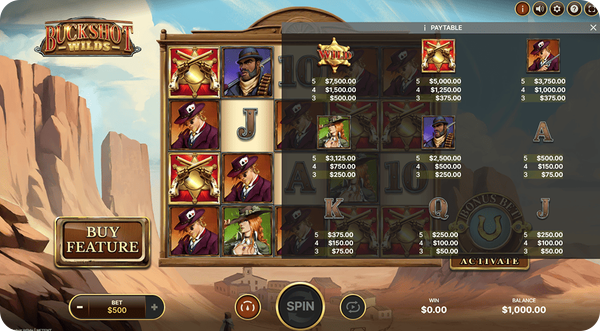 come capire se una slot ha un simbolo wild
