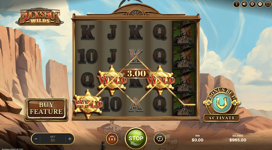 come funzionano i simboli wild nelle slot