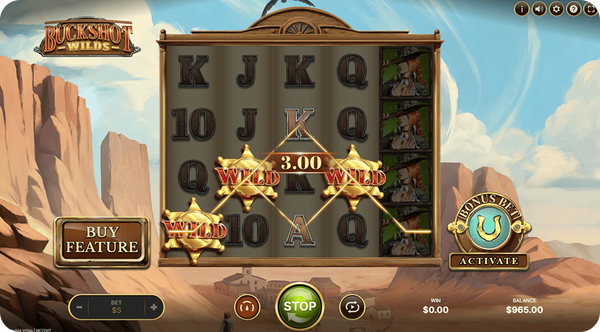 come funzionano i simboli wild nelle slot